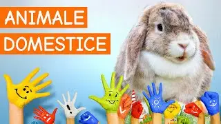 Copiii invata animale domestice - ferma animale