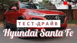 🤔Hyundai Santa Fe &mdash; привлекательный 'динозавр'? Тест-драйв, разгон, характеристики | LiveFEED&reg; Auto