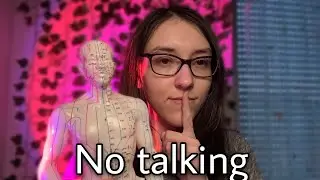 Asmr tapping & scratching with the acupuncture doll (no talking 🤫)