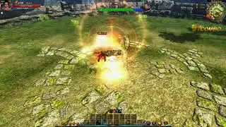 Duel Axe wielding C9 Guardian