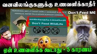 வனவிலங்கிற்க்கு உணவளிப்பது குற்றமா | ஏன் உணவளிக்கக்கூடாது என 5 காரணங்கள் | Don't Feed Wild Animals