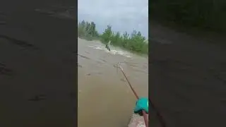 #strangerthings #help #спасение #movie #лошадь #life #fishing #лошадки #animals #конноеранчо