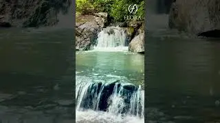 Every dream you want to experience. Come to calm. | Flora Vythiri Resort Wayanad