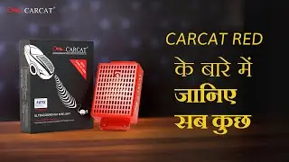 CARCAT RED || RAT REPELLENT FOR CAR || HOW TO USE || EVERYTHING YOU NEED TO KNOW