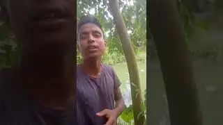 Palgn#shortvideos