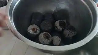 Gardening in Canada
