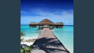 Tropical Dreams