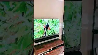 55&rdquo; 8K TV with Sonos Arc. #screenpeel #newtv #unwrapped #tvs #hdtv #4ktv #8ktv #8kvideo #8kviews