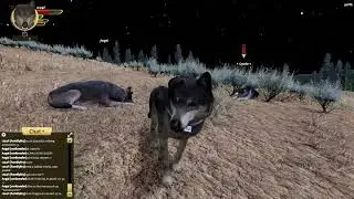 @WolfQuestGame  sliding wolf bug!