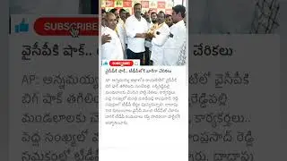 YCP leaders join in TDP