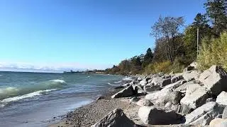 Nature Sounds Like Ocean, River, Stream, Rustling Leaves & Birdsong Offer Benefits for Human Health