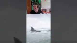 Por Suerte No Me Comi&oacute; #theforest #tiburon #avistamiento #tiburones #siravella #miedo #susto #mar
