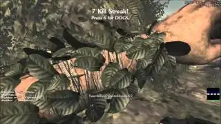 Cod waw lil kill streak