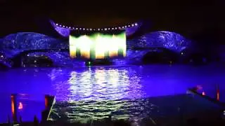 Shamu Christmas Miracles - SeaWorld Orlando