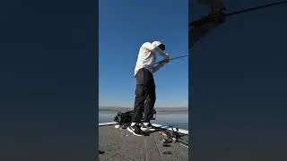 #bassfishing #southafrica #southafricanbass #rhenosterkopdam