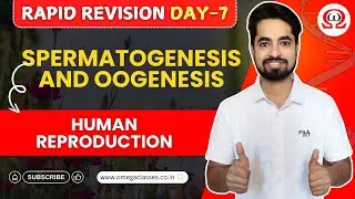 GAMETOGENESIS | OOGENESIS | SPERMATOGENENSIS | DAY-7 | HUMAN REPRODUCTION | RAPID REVISION