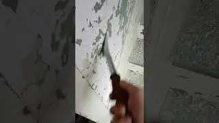 Scraping off lead paint from 1903