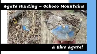 Agate Hunting - Ochoco Mountains - Blue Agates?