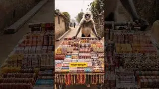 गोर होने वाला क्रीम #shilpisaroja #thetharpuns #funny #comedy