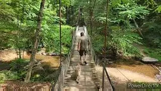 Pennsylvania Overlanding: Beartown Rocks, Clarion River,  and the Forest Cathedral of Cook Forest