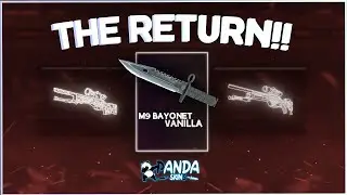 The Return... | Pandaskins Case Opening