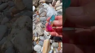 Unveiling the Secrets of the Ocean's Hidden Gems