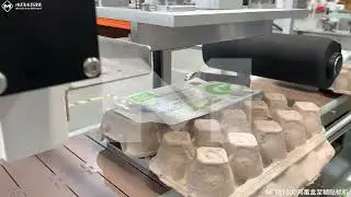 Automatic Egg Tray Cold Glue Labeling Machine