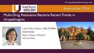 Multi Drug Resistant Bacteria: Recent Trends in Uropathogens