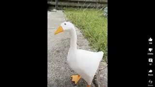 how to play the untitled goose game song on piano ￼