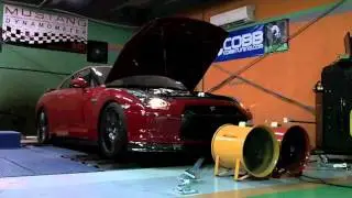 Switzer P800 GTR- Built and Tuned by PANDA PERFORMANCE-Dubai