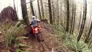 BOB Finds a Penny