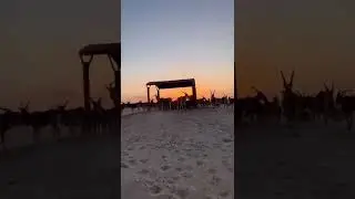 #потрясающий #закатсолнца  #дубай