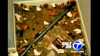 Pictures surface in child abuse case