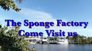 The sponge factory