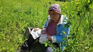Андроновские  горы. Пермь. 13 июня 2022 1ч.