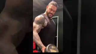 roman reigns workout