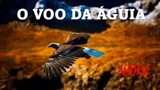 O VOO DA &Aacute;GUIA - NAIRE