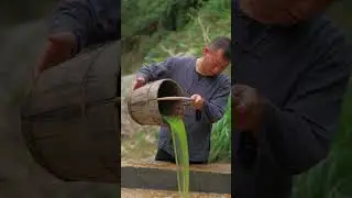 How to Make Paper from Bamboo
