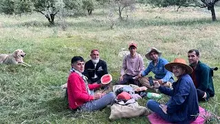 Куҳи Сарсарак Деҳаи Сангтуда тамошо кун пушаймон намеши Дидани гули Ҳолмон,Дустмурод шарипов