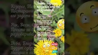Знаки Зодиака, когда им кто-то не нравится  / 9168