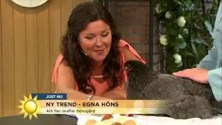 Nya trenden: H&ouml;nsh&aring;llning - Nyhetsmorgon (TV4)