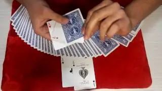 החברים האסים | קסם משגע!