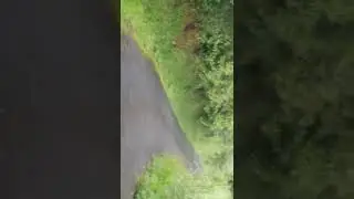 Chaka Vlog fun and adventures Vincy sweet and nice