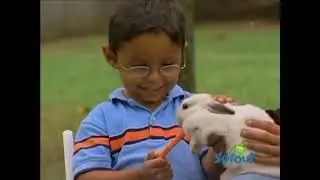 Barney & Friends: Rabbits/Ducks and Fish (Season 10, Episode 15)
