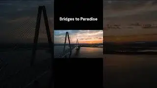 A Southern Charm  A Tour of Charleston, South Carolina