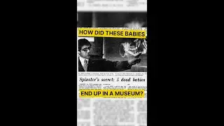 Babies in a MUSEUM?! | #TrueCrime #WeirdCrimes