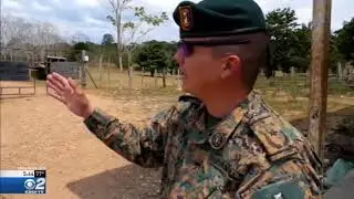 The Panama Drug Pipeline