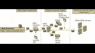 Unit-17 DNS Server Install and Configure