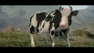 La vaca loca