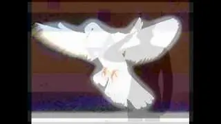 maranatha del Nombre - SHEMA ISRAEL